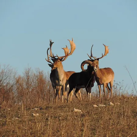 La Bastide Du Pere Marius