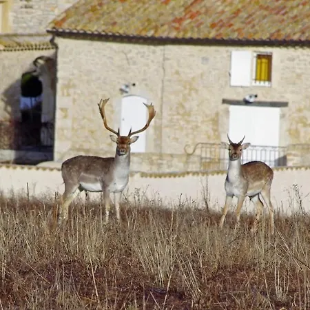 Lägenhet La Bastide Du Pere Marius